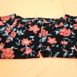 Anna Taylor LOFT size 6 pants
